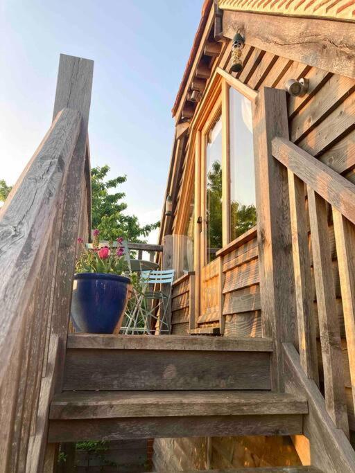 The Nest 'mini Suite' *